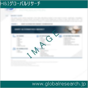 グローバルリサーチ調査レポートのイメージ